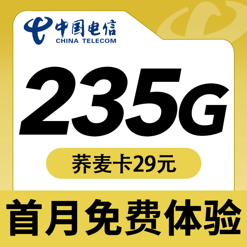 电信荞麦卡29元235G