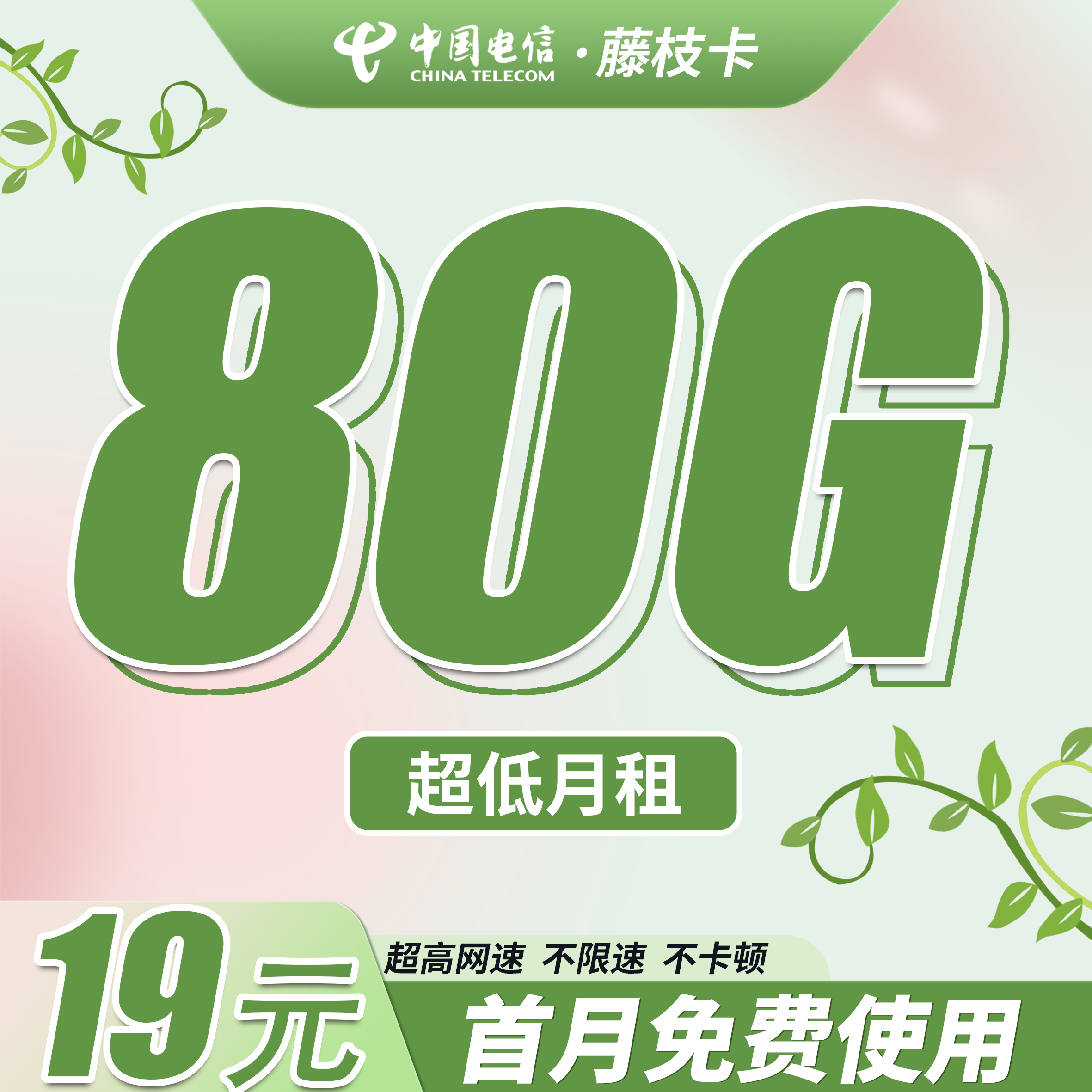 电信藤枝卡19元80G+首月免费！