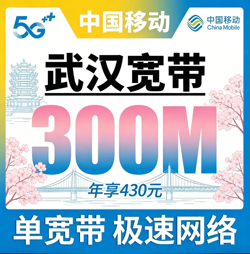 武汉省宽带移动430元年享300Mbps